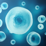 Stem Cell & PRP Therapy